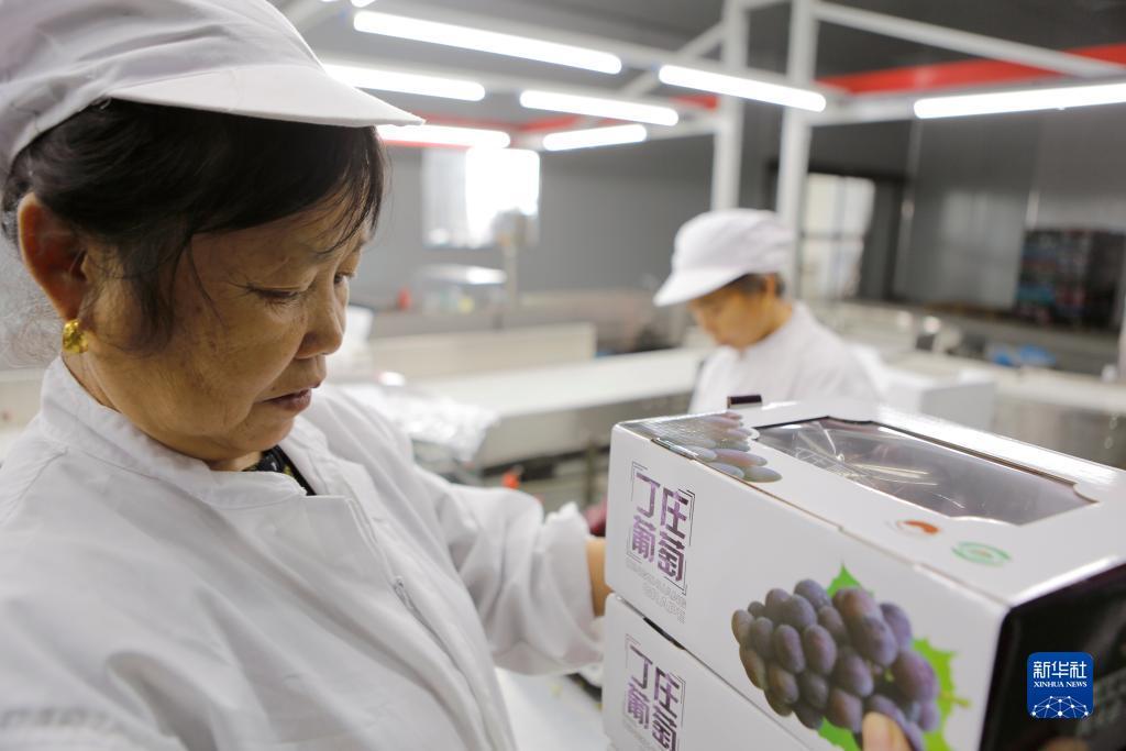 必发官网登入